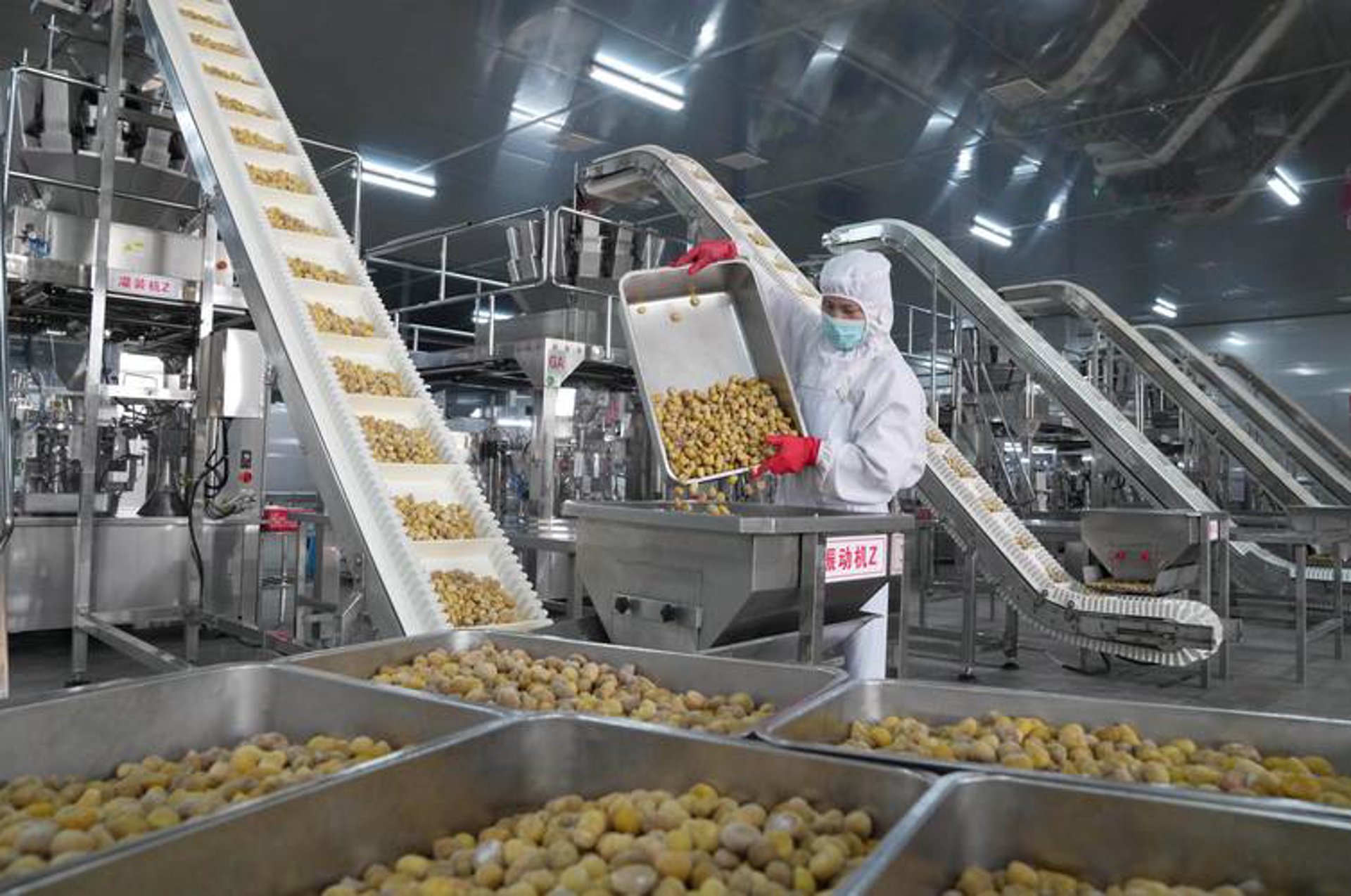 食品加工设备：推动产业升级的新动能